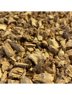 Image de Galanga Bio - Racine coupée 100g - Tisane d'Alpinia officinarum depuis Commandez les produits Louis Bio à l'herboristerie Louis