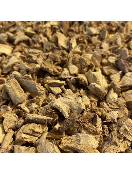 Image principale de Galanga Bio - Racine coupée 100g - Tisane d'Alpinia officinarum