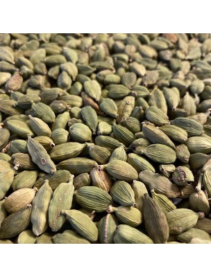 Image de Cardamome Bio - Fruit entier 100g - Tisane d'Elettaria cardamomum depuis Achetez vos Épices et aromates naturelles et Bio ici