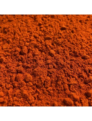 Image de Paprika Doux Bio - Poudre 100g - Tisane de Capsicum annuum L. via Cacao Bio - Coque torréfiée coupée 100g - Tisane de Theobroma cacao L.