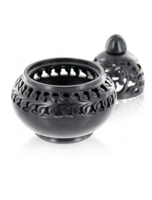 https://www.louis-herboristerie.com/38034-home_default/venice-incense-burner-for-resins-sticks-and-cones-les-encens-du-monde.jpg