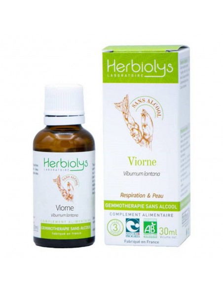 Image principale de Viorne Macérât de bourgeons Sans Alcool Bio - Respiration et Peau 30 ml - Herbiolys