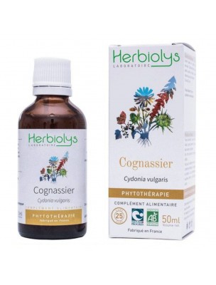Image de Cognassier Bio - Teinture-mère 50 ml - Herbiolys depuis Achetez des teintures mères unitaires pour votre bien-être | Phyto&Herba (3)