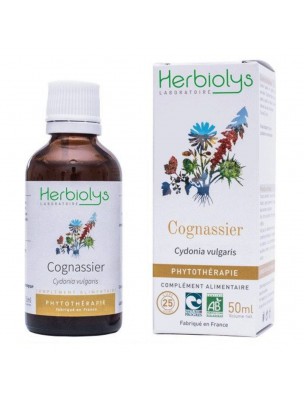 Image de Cognassier Bio - Teinture-mère 50 ml - Herbiolys depuis Résultats de recherche pour "Braid of White "