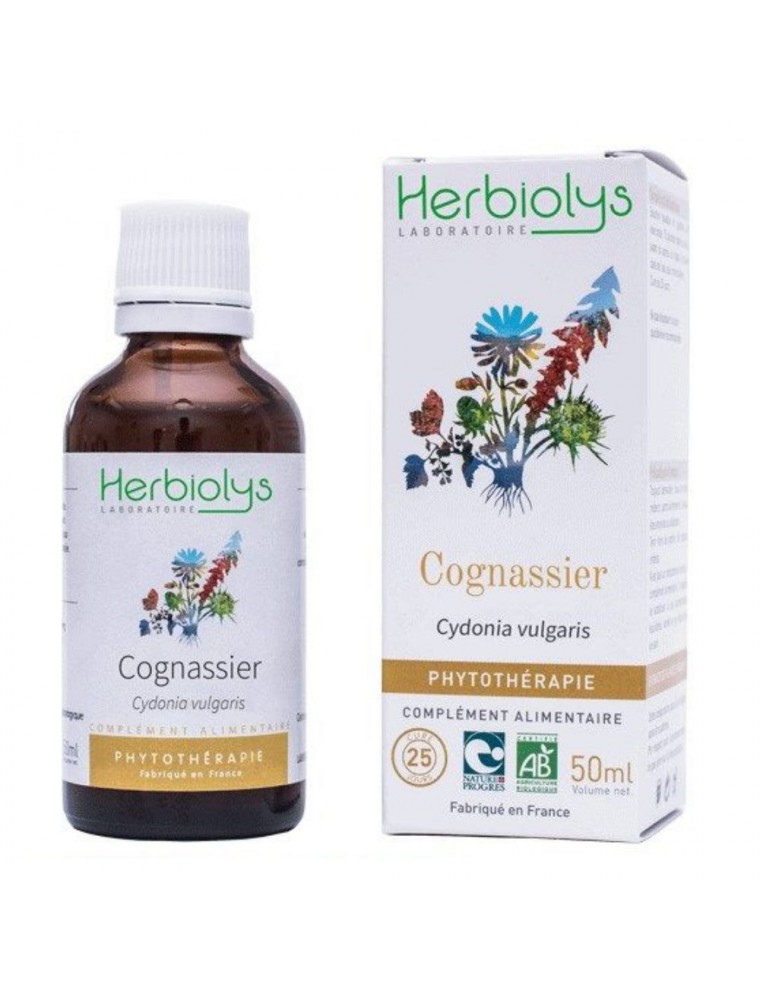 Image principale de la modale pour Cognassier Bio - Teinture-mère 50 ml - Herbiolys