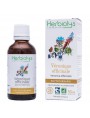 Image de Veronica officinalis organic - Digestion and Migraines Mother tincture 50 ml - (in French) Herbiolys via Buy Peppermint Organic - Essential oil of Mentha x piperita L. 10