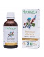 Image de Véronique officinale Bio - Digestion et Migraines Teinture-mère 50 ml - Herbiolys via Acheter Menthe poivrée Bio - Huile essentielle de Mentha x piperita L. 10