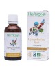 Cynorrhodon (Eglantier) Bio - Vitalité Teinture-mère Rosa canina 50 ml - Herbiolys