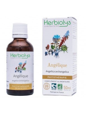Image de Angelica Bio - Digestion and Tonic Mother tincture Angelica archangelica 50 ml - (in French) Herbiolys depuis Organic and non-organic unitary mother tinctures