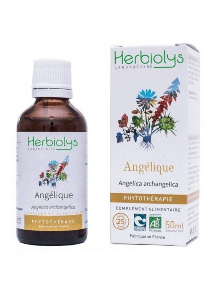 Angélique Bio - Digestion et Tonique Teinture-mère Angelica archangelica 50 ml - Herbiolys