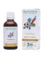 Image de Angelica Bio - Digestion and Tonic Mother tincture Angelica archangelica 50 ml - (in French) Herbiolys via Buy Organic Angelica - Fruit powder 100g - Angelica Herbal Tea