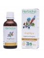 Image de Angelica Bio - Digestion and Tonic Mother tincture Angelica archangelica 50 ml - (in French) Herbiolys via Buy Bifibiol - Probiotics 12 billion lactic ferments 60