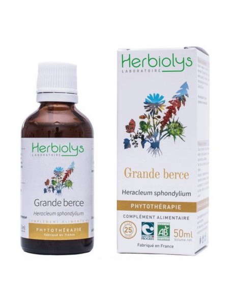 Image principale de Grande berce Bio - Teinture-mère Heracleum sphondylium 50 ml - Herbiolys