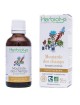 Moutarde des champs Bio - Teinture-mère 50 ml - Herbiolys