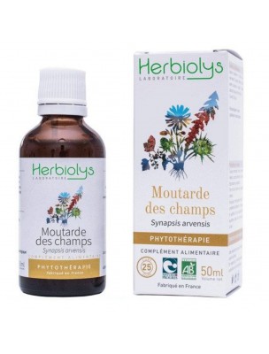 Image de Moutarde des champs Bio - Teinture-mère 50 ml - Herbiolys via Moutarde Brune Bio - Graines 100g - Tisane Brassica junicea L.