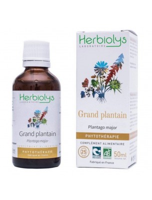 Image de Grand plantain Bio - Voies respiratoires Teinture-mère 50 ml - Herbiolys depuis Quercetin 500 mg - Allergies et Antioxydant - Solaray