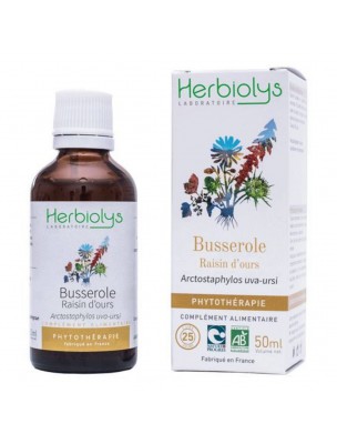 Image de Bearberry organic mother tincture Arctostaphylos uva-ursi 50 ml - Herbiolys depuis Buds for urinary comfort