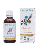 Image de Raisin d'ours (Busserole) Bio - Teinture-mère Arctostaphylos uva-ursi 50 ml - Herbiolys depuis ▷▷ Teintures mères de plantes commençant par la lettre R
