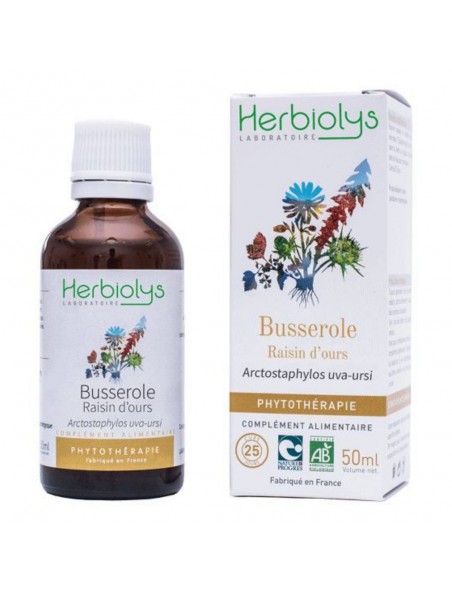 Image principale de Raisin d'ours (Busserole) Bio - Teinture-mère Arctostaphylos uva-ursi 50 ml - Herbiolys
