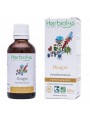 Image de Onagre Bio - Peau Teinture-mère d'Oenothera biennis 50 ml - Herbiolys via Acheter Membrasin Vaginal Vitality Cream - Baies d'Argousier 30 ml -