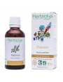 Image de Patience - Dépurative et Stimulante Teinture-mère Rumex patientia 50 ml - Herbiolys via Acheter Force et Vitalité Bio - Immunité Les Diffusables 30 ml -