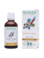 Image de Creeping sorrel - Heavy metals Mother tincture Rumex crispus 50 ml - Herbiolys via Buy Bear's garlic - Toxins and Circulation Mother tincture Allium