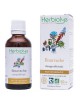 Bourrache Bio - Troubles féminins Teinture-mère Borago officinalis 50 ml - Herbiolys