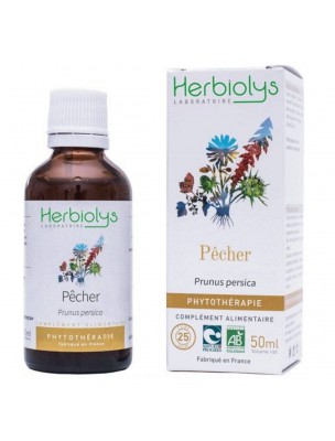 Image de Pêcher Bio - Transit Teinture-mère Prunus persica 50 ml - Herbiolys via Psyllium Bio 300g - Tisane de Plantago ovata