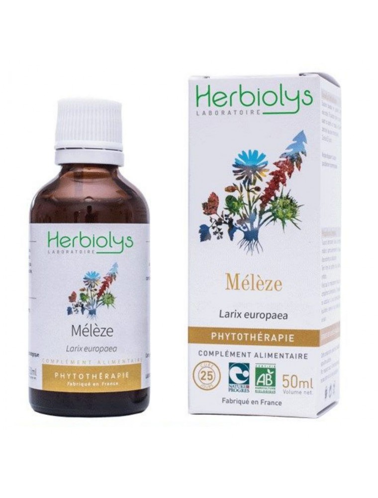 Image principale de la modale pour Mélèze Bio - Voies respiratoires Teinture-mère Larix europaea decidua 50 ml - Herbiolys