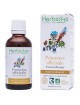 Primevère officinale Bio - Respiration Teinture-mère Primula officinalis 50 ml - Herbiolys