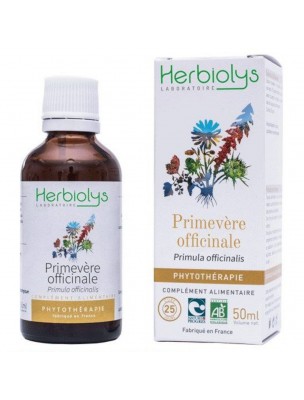 Image de Primevère officinale Bio - Respiration Teinture-mère Primula officinalis 50 ml - Herbiolys depuis Achetez les produits Herbiolys à l'herboristerie Louis (7)