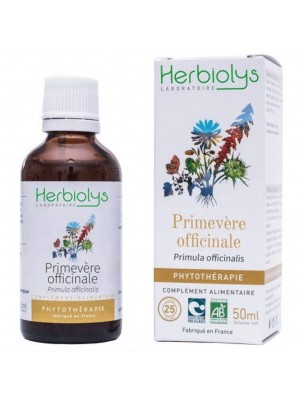 Image de Primevère officinale Bio - Respiration Teinture-mère Primula officinalis 50 ml - Herbiolys via Pin maritime - Macérât de bourgeon Bio - Respiration - Herbiolys