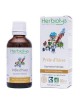 Prêle d\'hiver Bio - Reminéralisant Teinture-mère Equisetum hiemale 50 ml - Herbiolys