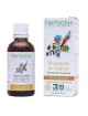 Hamamélis de Virginie Bio - Circulation Teinture-mère Hamamelis virginiana 50 ml - Herbiolys