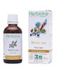 Mûrier noir Bio - Sucre Teinture-mère Morus nigra 50 ml - Herbiolys