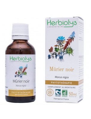 Image de Mûrier noir Bio - Sucre Teinture-mère Morus nigra 50 ml - Herbiolys via Chrome - Oligo-élément 1000ml - Catalyons