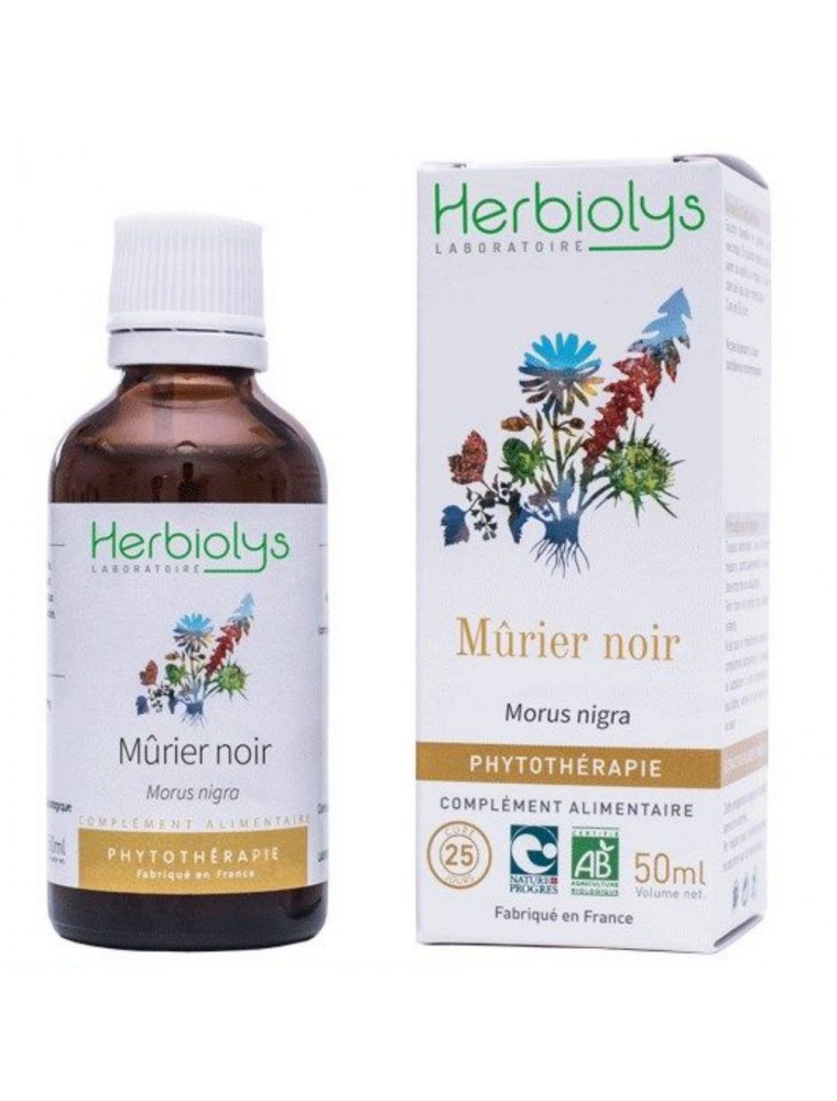 Image principale de la modale pour Mûrier noir Bio - Sucre Teinture-mère Morus nigra 50 ml - Herbiolys