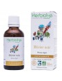 Image de Mûrier noir Bio - Sucre Teinture-mère Morus nigra 50 ml - Herbiolys via Acheter Regulor - Glycémie 90 gélules - SND