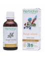 Image de Sauge sclarée Bio - Cycle et Pré-ménopause Teinture-mère Salvia sclarea 50 ml - Herbiolys via Acheter Airelle rouge Macérât de jeune pousse Bio - Femme et Digestion 50