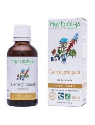 Image de Lierre grimpant Bio - Articulations et Respiration Teinture-mère Hedera helix 50 ml - Herbiolys depuis Résultats de recherche pour "Respiration Bio"