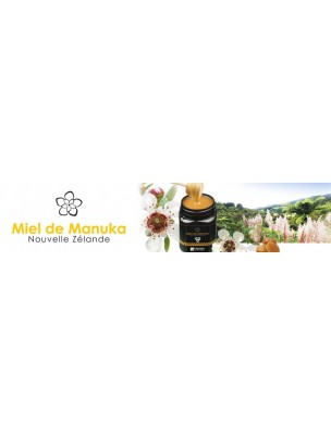 Petite image du produit Crème réparatrice - 40% de Miel de Manuka 40 ml - Comptoirs et Compagnies