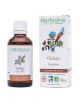 Ginkgo Macérât de bourgeon Bio - Circulation et Mémoire 50 ml - Herbiolys