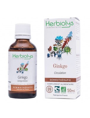 Image de Ginkgo bud macerate Organic - Circulation and Memory 50 ml - (French) Herbiolys depuis Buds for the head and eyes