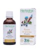 Rosier de provins Bio - Inflammations et Diarrhées Teinture-mère Rosa gallica 50 ml - Herbiolys