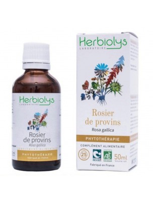 Image de Rosier de provins Bio - Inflammations et Diarrhées Teinture-mère Rosa gallica 50 ml - Herbiolys via Microbiotiques Forté Philaromal - Ferments lactiques - Dietaroma