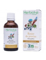 Image de Rosier de provins Bio - Inflammations et Diarrhées Teinture-mère Rosa gallica 50 ml - Herbiolys depuis ▷▷ Teintures mères de plantes commençant par la lettre R