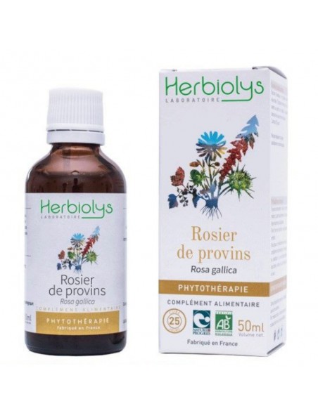 Image principale de Rosier de provins Bio - Inflammations et Diarrhées Teinture-mère Rosa gallica 50 ml - Herbiolys