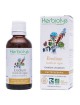 Erodium feuille de cigüe - Hémostatique Teinture-mère Erodium cicutarium 50 ml - Herbiolys