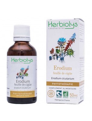 Image de Erodium feuille de cigüe - Hémostatique Teinture-mère Erodium cicutarium 50 ml - Herbiolys depuis ▷▷ Teintures mères de plantes commençant par la lettre E