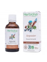 Image de Argousier Macérât de jeune pousse Bio - Tonus et Immunité 50 ml - Herbiolys depuis Bourgeons de gemmothérapie unitaires, en complexes, en gommes ou sans alcool.